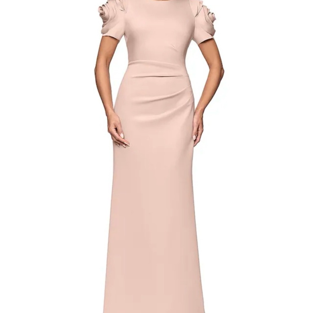 Elegant Blush Pink Evening Gown